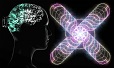 Appropriated Bodies - Neurofeedback für Virtual Reality Anwendung