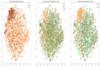 Identifying Similarity of Song Lyrics with Contrastive Learning