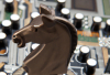 Digital Horse Domain