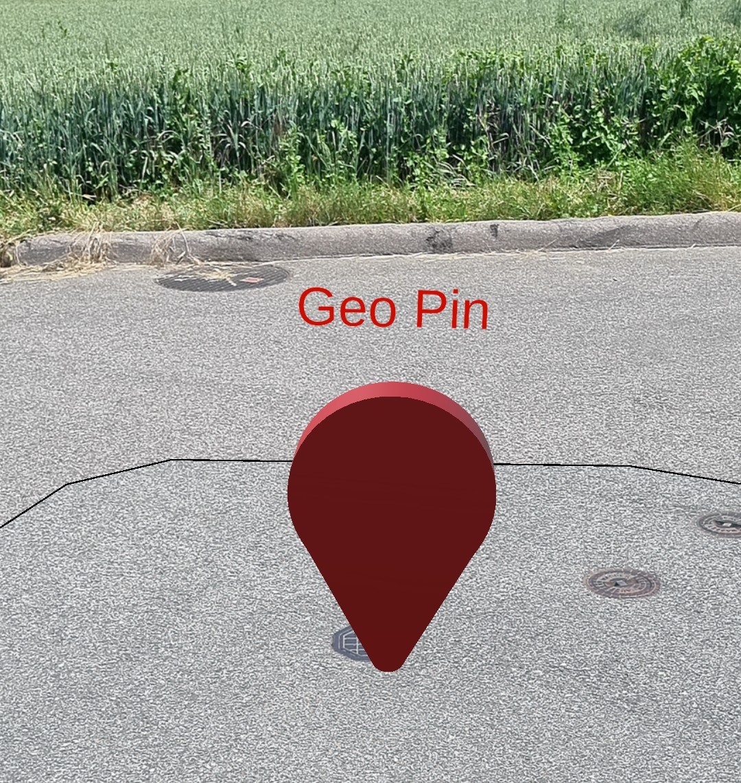 Geo Pin