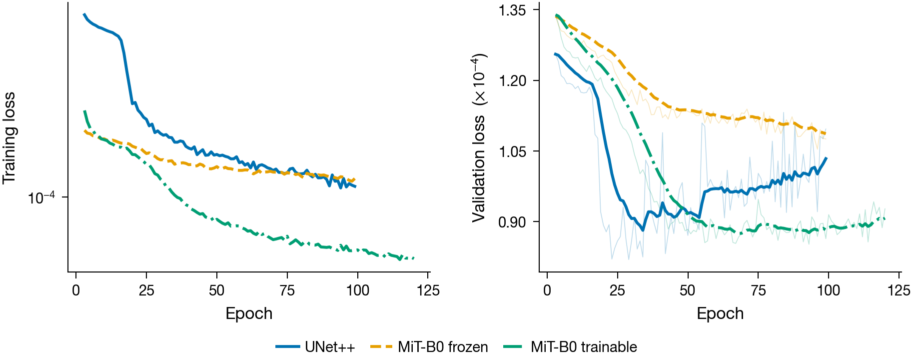 Training and validation loss curves for UNet++, frozen MiT-B0, and trainable MiT-B0