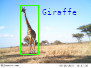 Semi- and Self-Supervised Deep Learning for Large-Scale Camera Trap Image Analysis