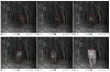 Applying & Evaluating Deep Learning Methods on Camera Trap Images from the University of Fribourg