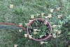 ML-Kamera für Biodiversität im urbanen Raum