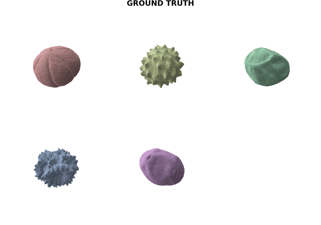 Rotating ground-truth mesh set