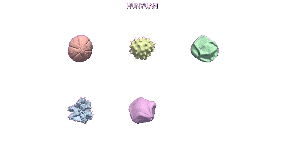 Hunyuan3D spin grid