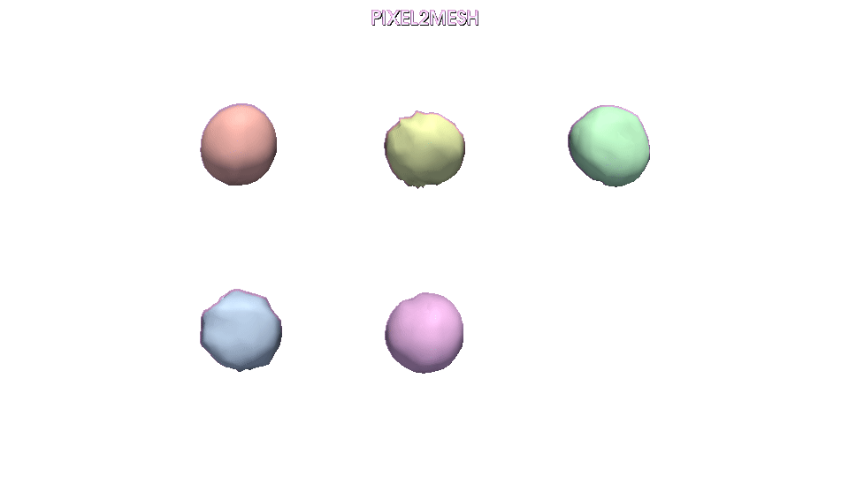 Pixel2Mesh++ spin grid