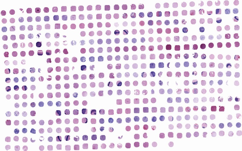 Text