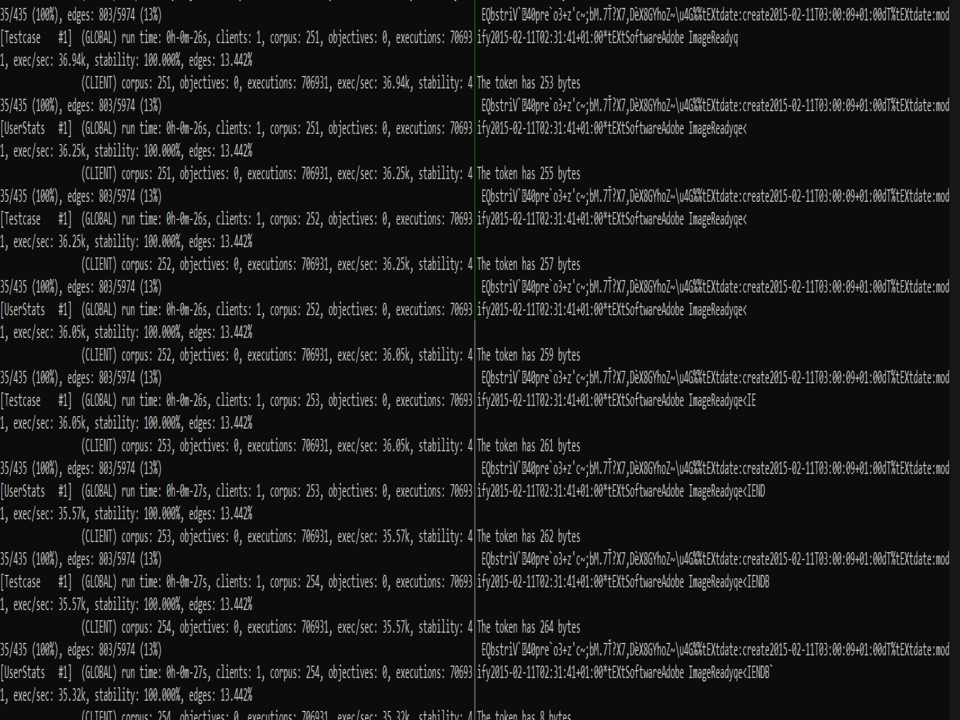 Commandline vom Fuzzer