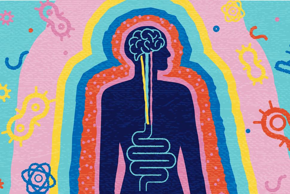 Gut microbiome illustration