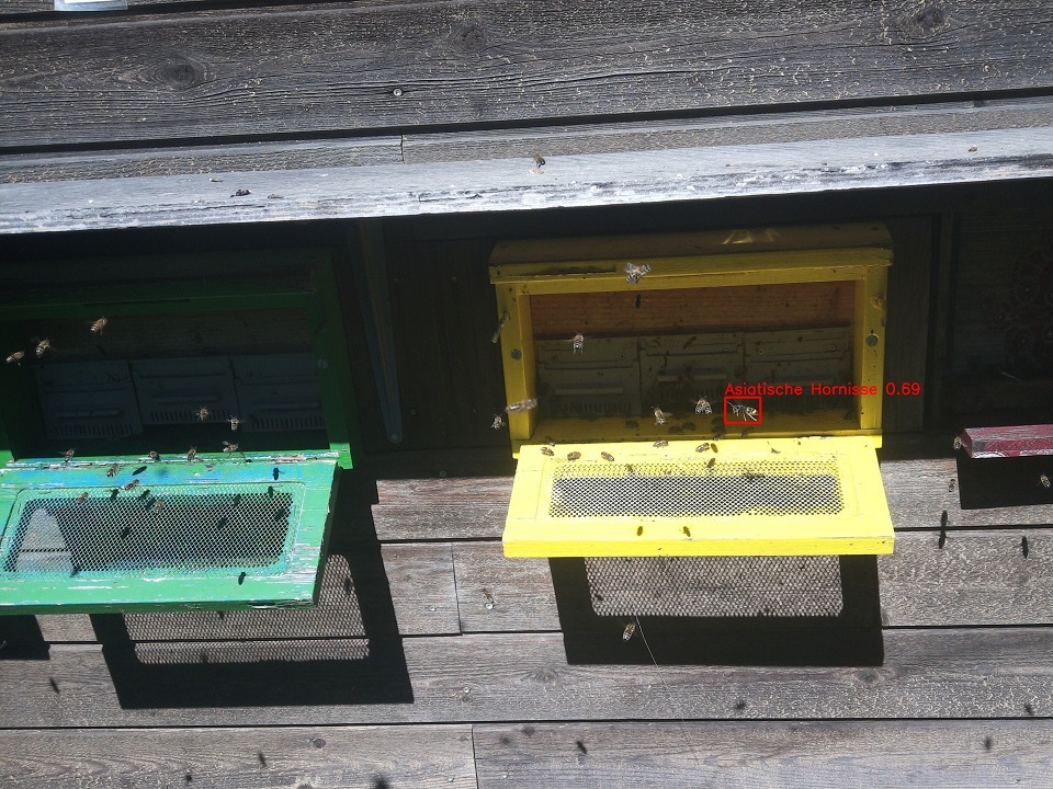 IP6 Projekt