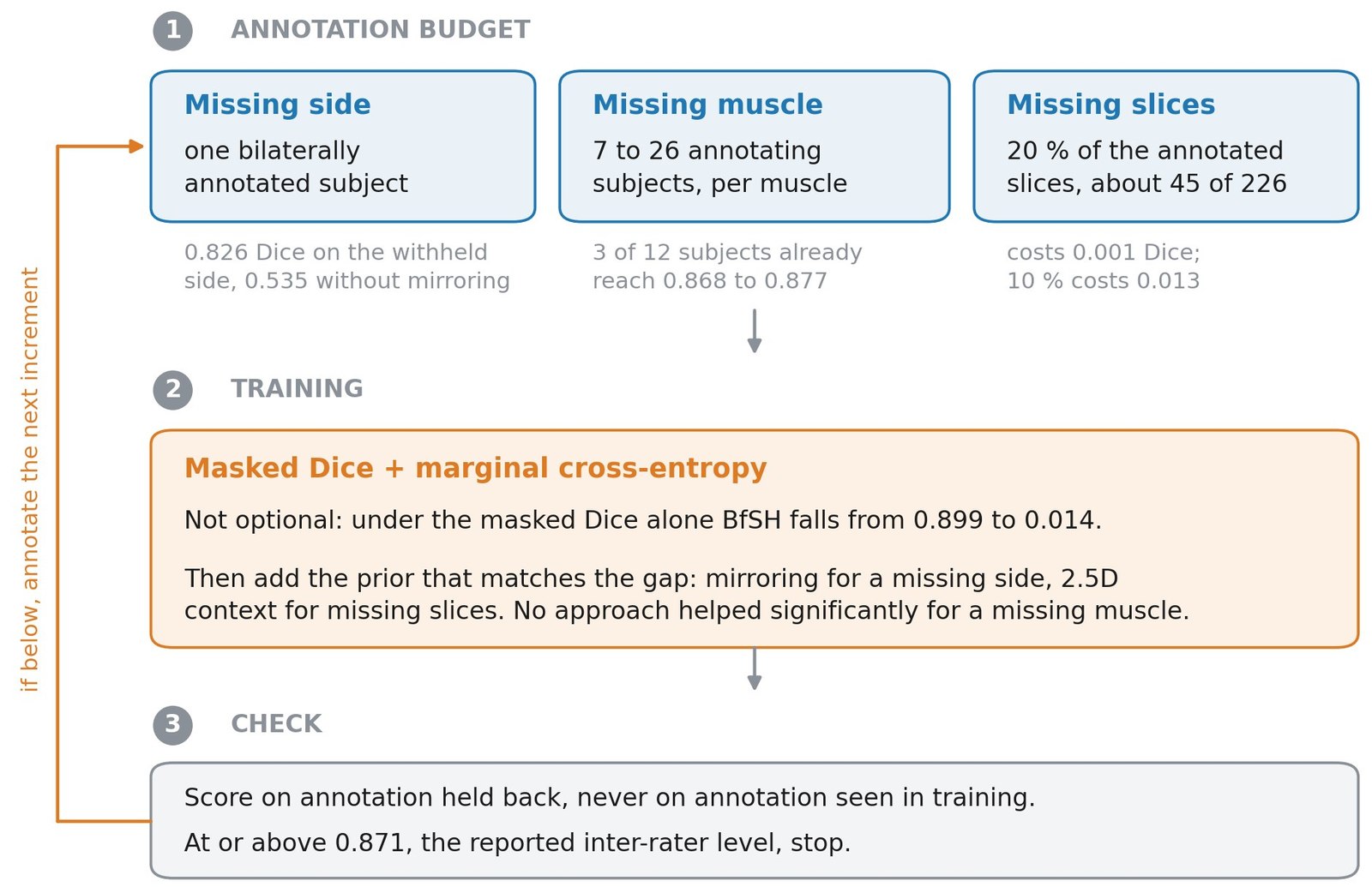 Three step procedure: set the annotation budget for a missing side, a missing muscle or missing slices, train with masked Dice plus marginal cross-entropy and the matching prior, then check against annotation that was held back