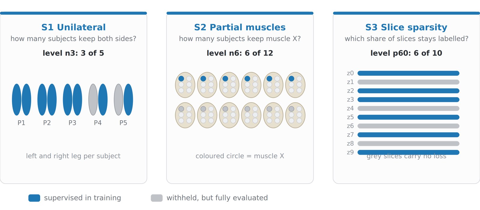 Diagram of the three simulated annotation gaps: missing body side, missing muscle in part of the group, and only part of the slices labelled