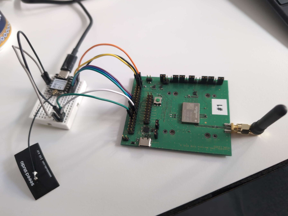 IP6 Projekt
